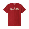 Miami RedHawks Arched Miami T-shirt
