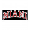 Miami Large Arched Decal