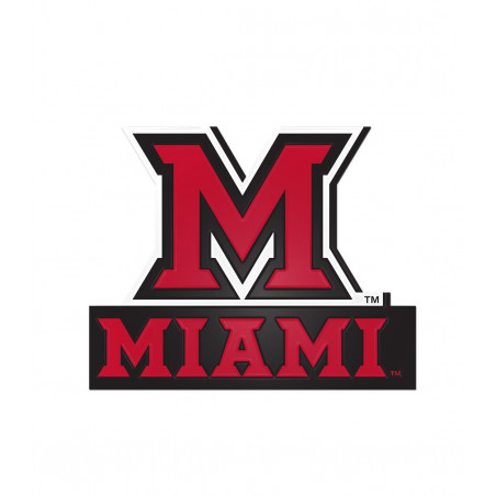 M over Miami Magnet