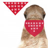 Miami University Pet Red Bandanna