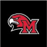 Brass Reminders Miami Univ. HawkHead/M Auto Decal - Large