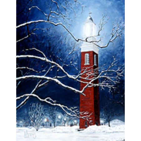 Miami Midnight' Picture